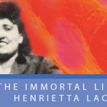 book cover " The Immortal Life of Henrietta Lacks"