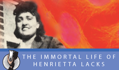 book cover " The Immortal Life of Henrietta Lacks"