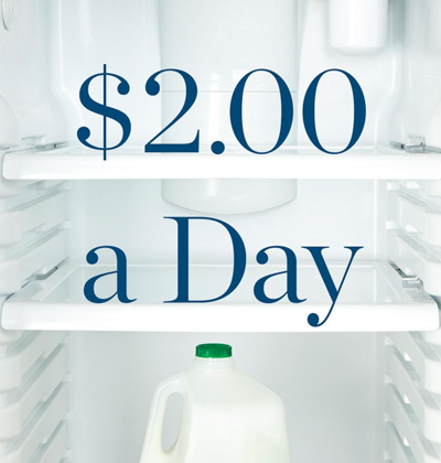 book cover "$2.00 a Day: Living on Almost Nothing in America"